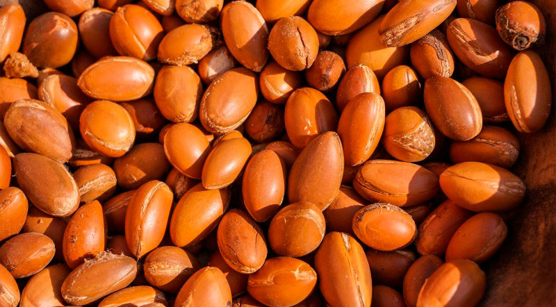 Armina BIO Arganový olej 50 ml