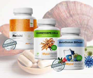 Beta-glukany: Poznejte rozdíly mezi těmi z hub a kvasnic