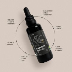 Vitalvibe Cordyceps Tincture BIO extrakt CS-4 50 ml