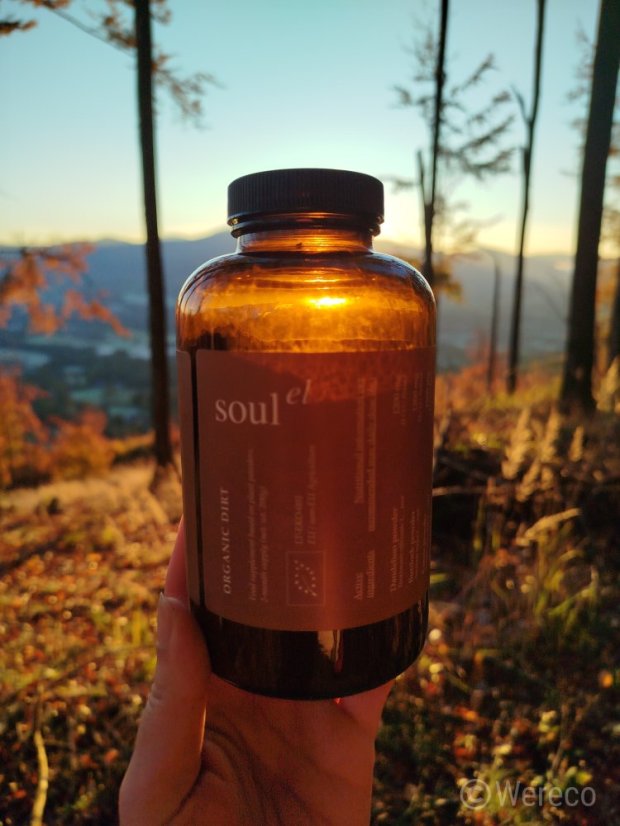 Soulel Dirt Bio prášek, alternativa kávy s chagou a ženšenem
