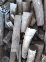 Bijin Organické uhlí Binchotan pro filtraci vody, sada 3 kusů