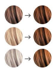 Tresse Paris Bio Rostlinná barva na vlasy Medená hnedá 2 x 100 g