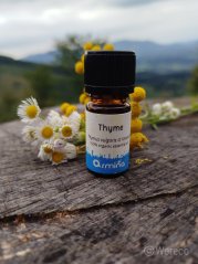 Armina Bio éterický olej Tymián (linalool) 5 ml