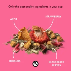 Alveus Bio prémiová čajová směs ovocná Sweet Berry 100 g