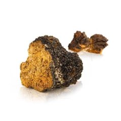 MycoMedica Chaga 90 kapsúl min.trv.07/2026