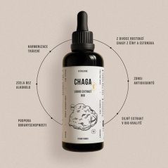 Vitalvibe Chaga Liquid Extract BIO bez alkoholu 100 ml min.trv.06/2026
