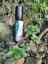 ARMINA Malachite forest Organic Roll-On Blend Bio zmes esenciálnych olejov v roll-one 10 ml