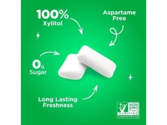 PÜR Žuvačky bez aspartámu Spearmint s xylitolom, bez cukru