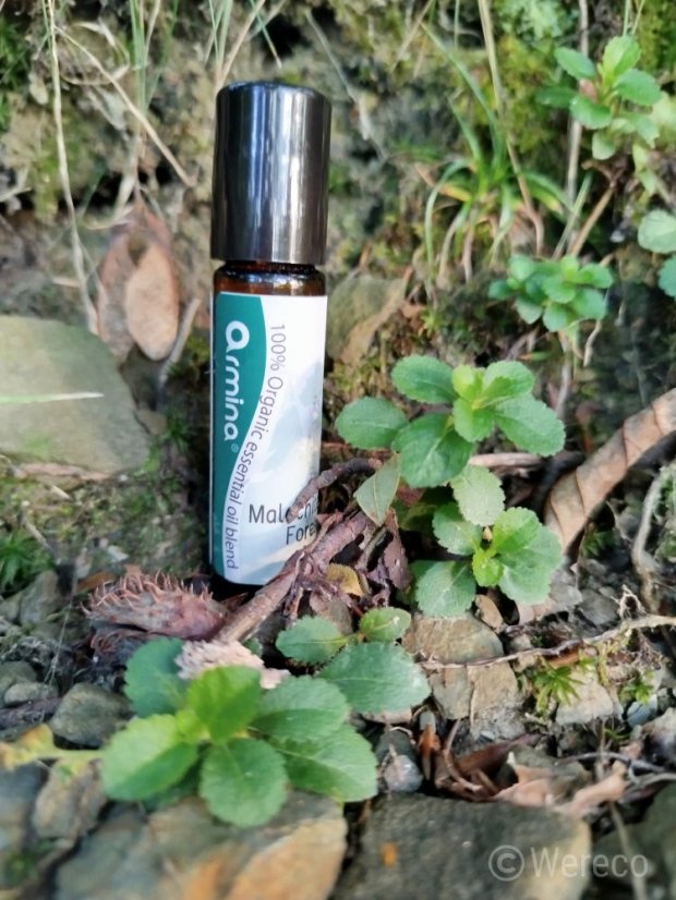 ARMINA Malachite forest Organic Roll-On Blend Bio zmes esenciálnych olejov v roll-one 10 ml