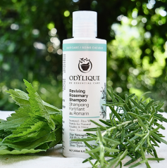 Odylique Revitalizační šampon Rozmarýn