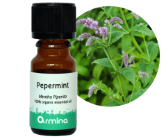 Armina Bio éterický olej Máta peprná 5 ml min.trv. 07/2026