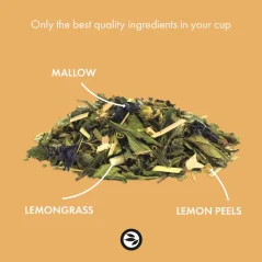 Alveus Bio prémiová zmes zeleného čaju Boost 100 g