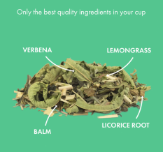 Alveus Bio prémiová zmes bylinkovo zeleného čaju Spirit 100 g