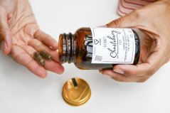 Goodie Drmek premium extrakt min. 0,6% aucubin, 0,5% agnusides, Chasteberry - kapsle 60 ks