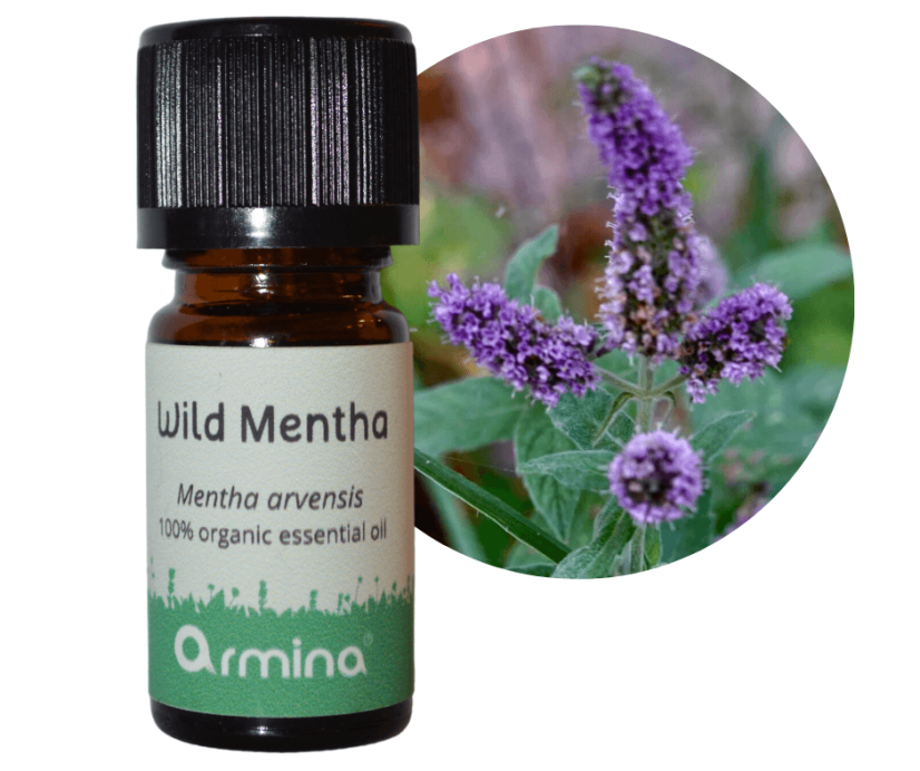 Armina Bio éterický olej Máta luční (divoká) 5 ml