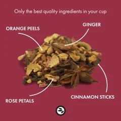 Alveus Bio prémiová vánoční směs koření a černého čaje Winter Chai 100 g dóza