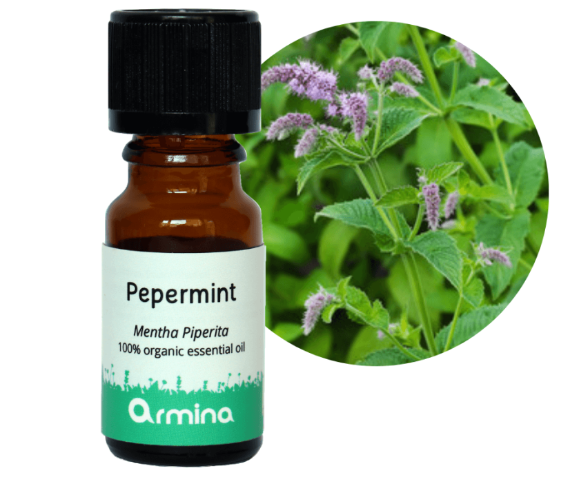 Armina Bio éterický olej Máta peprná 10 ml min.trv. 07/2026