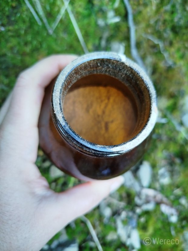 Soulel Booster Bio prášek pro imunitu a energii