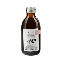 Květomluva Lesní elixír Síla lesa sirup 250 ml
