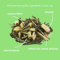 Alveus Bio prémiová zmes zeleného čaju a ovocia Ginger Lemon 150 g