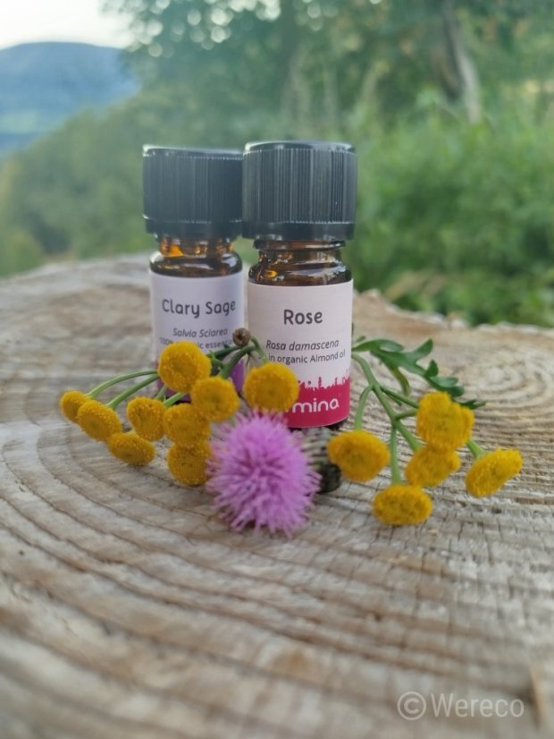 Armina Bio éterický olej Ruža damašská 5% v bio mandľovom oleji 5 ml