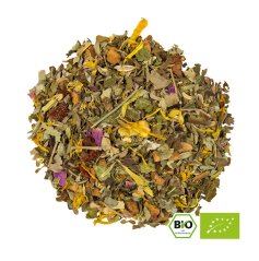 Alveus Stay Strong Bio bylinný čaj 100g