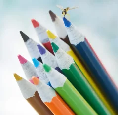 Pandoo farebné pastelky z recyklovaného papiera 12 ks