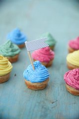 Biovegan Bio Potravinárske farbivá z rastlinných extraktov 6 x 8 g