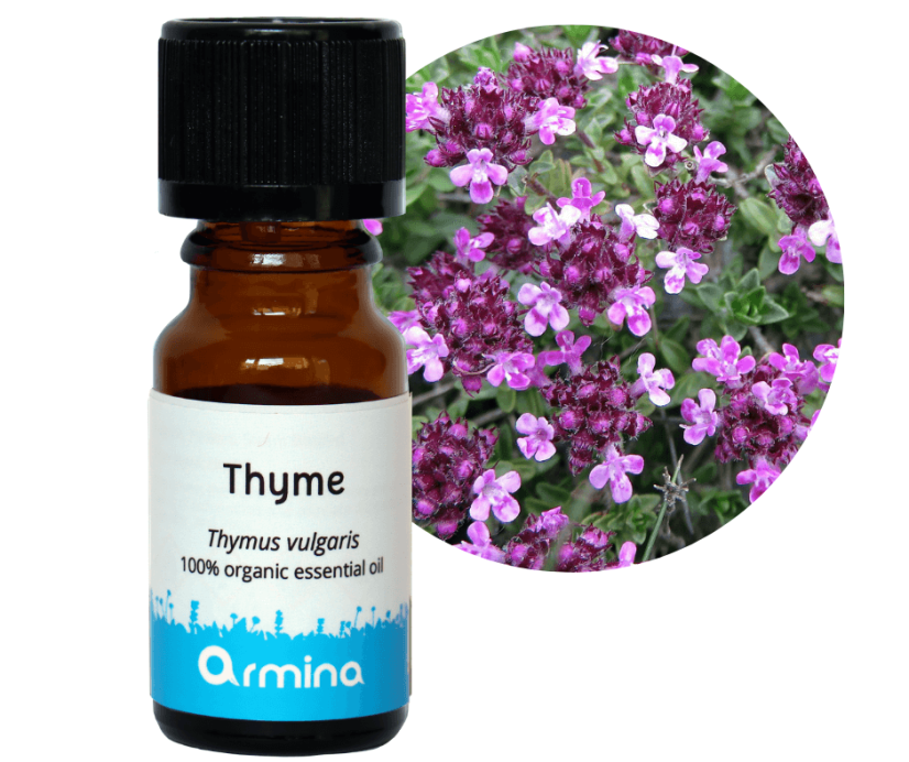 Armina Bio éterický olej Tymián (linalool) 5 ml min.trv.09/2026