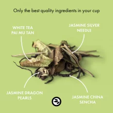 Alveus Bio prémiová směs zeleného čaje  Jasmin Imperial 100 g poškozený obal