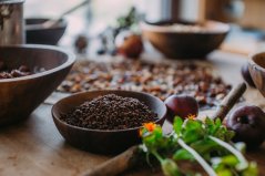 Vitalvibe Kakaové boby Criollo BIO, drcené 250 g