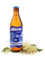 Kefir Eau Vertueuse Bio vodní kefír ve skle Bezinka 330 ml