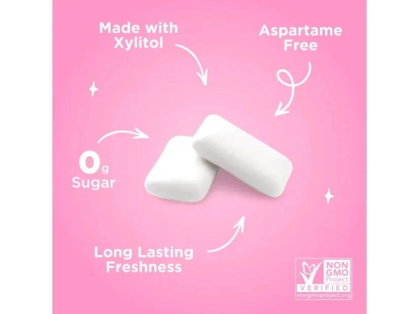 PÜR Žvýkačky bez aspartamu Bubblegum s xylitolem, bez cukru