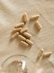 Puhdistamo Lactic Acid Bacteria Boulardii Probiotiká LactoSpore® a Lynside®