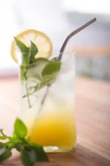 Tierra Verde Nerezové brčko na pití, zahnuté 21 cm 1 ks