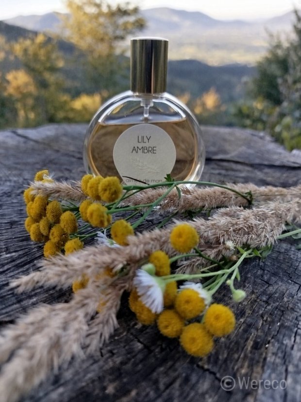 Aimée De Mars Parfémová voda Lily Ambre - objem: 50 ml