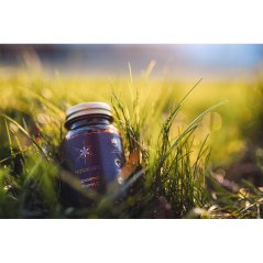 Naturlabs Vitamín C liposomálný