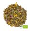 Alveus Stay Strong Bio bylinný čaj 100g