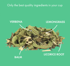 Alveus Bio prémiová zmes bylinkovo zeleného čaju Spirit 100 g