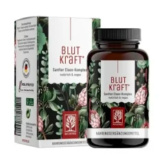 Naturtreu Krevní síla Komplex železa s fenyklem, vitamínem C a mědí 120 kapslí