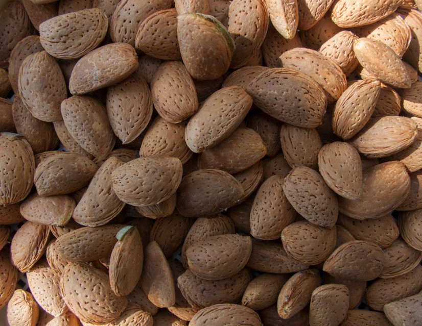 Armina BIO Sladký Mandlový olej - objem: 100 ml