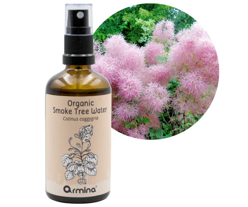 Armina Kvetová voda Škumpa vlasatá Bio - objem: 100 ml